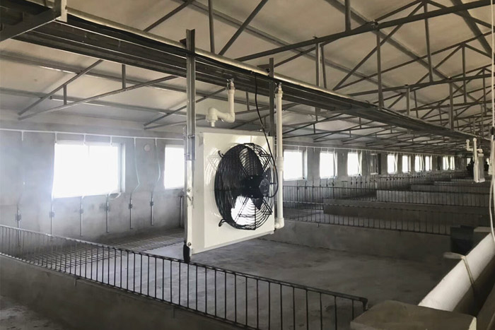 畜牧熱水暖風(fēng)機(jī)案例實拍