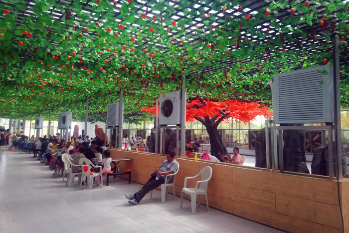 生態(tài)餐廳熱水暖風(fēng)機(jī)案例實拍